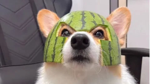 정모 대표 이미지