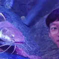 member face
