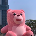 member face