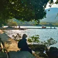 member face