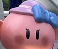 member face