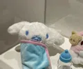 member face