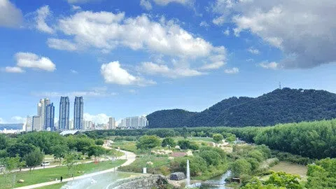 정모 대표 이미지