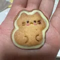 member face