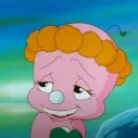 member face