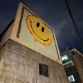 member face