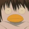 member face