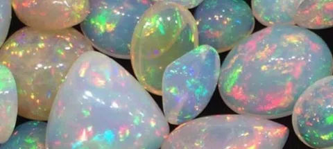 모임 대표 이미지