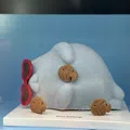 member face