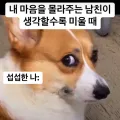 member face