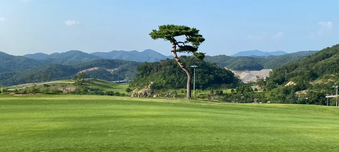모임 이미지 1