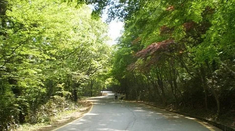 정모 대표 이미지