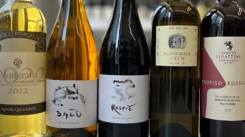 정모 대표 이미지