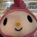 member face