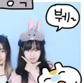 member face