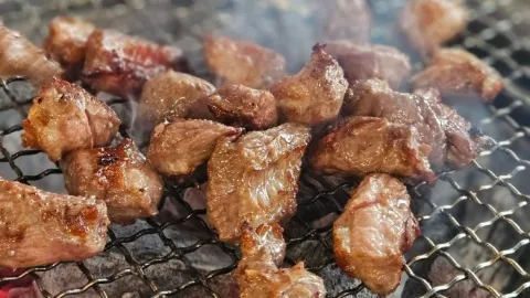 정모 대표 이미지