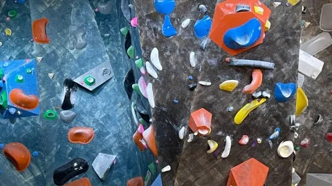 정모 대표 이미지