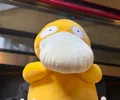 member face