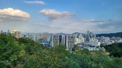 정모 대표 이미지