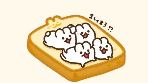 정모 대표 이미지