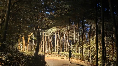 정모 대표 이미지