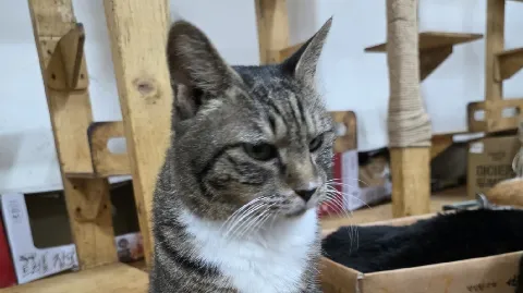 정모 대표 이미지