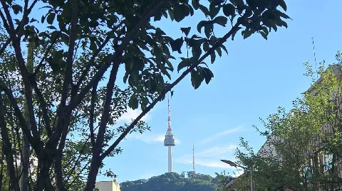 정모 대표 이미지