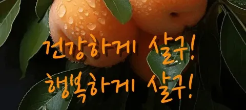 모임 대표 이미지