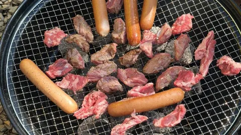 정모 대표 이미지