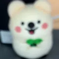 member face