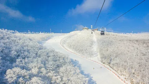 정모 대표 이미지