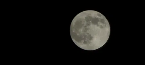 모임 대표 이미지