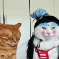 member face