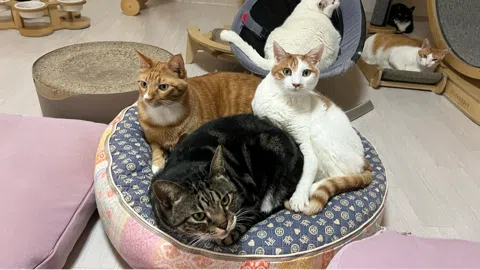 정모 대표 이미지