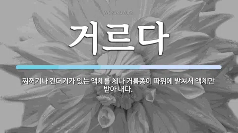 정모 대표 이미지