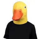 member face
