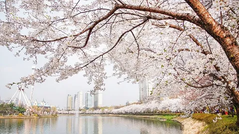 정모 대표 이미지