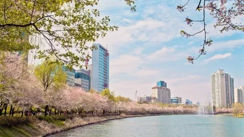 정모 대표 이미지