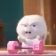 member face