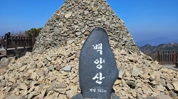 정모 대표 이미지