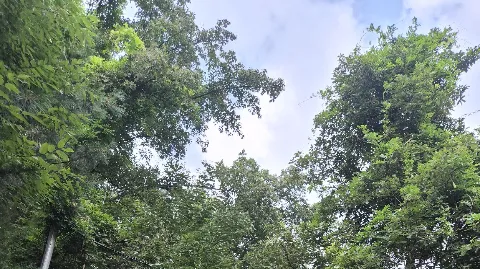 정모 대표 이미지