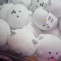 member face