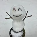 member face