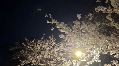 정모 대표 이미지