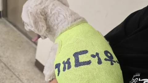 정모 대표 이미지