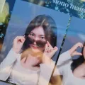 member face