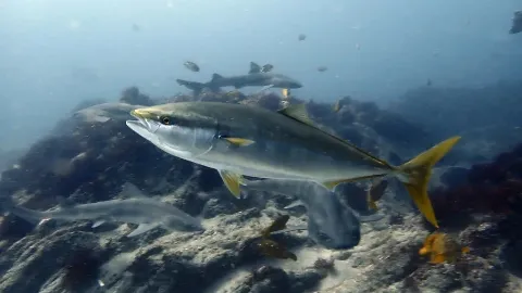 정모 대표 이미지