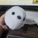 member face