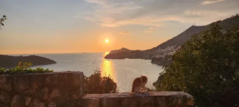 모임 대표 이미지