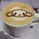 member face